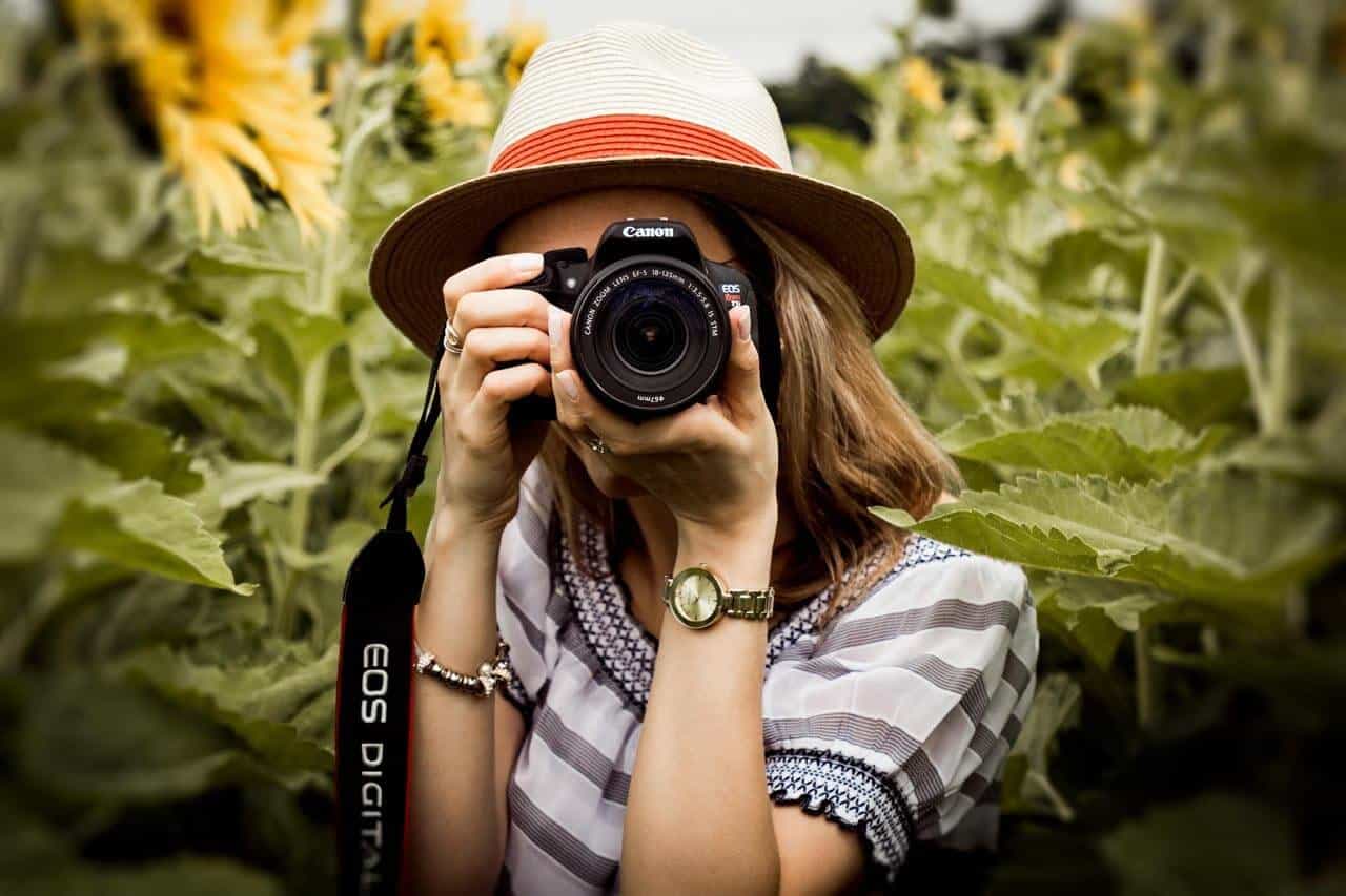 Pessoa fotografando em campo de girassóis
